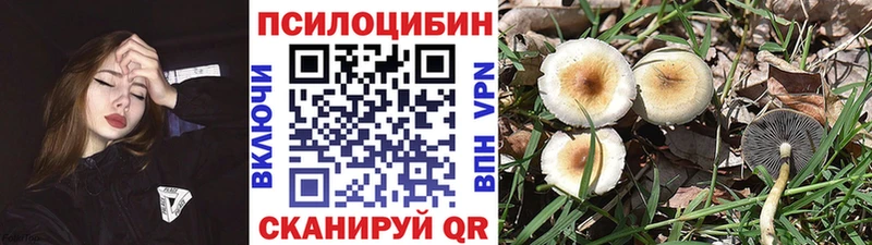 Псилоцибиновые грибы Psilocybine cubensis  где продают наркотики  это формула  Холмск 