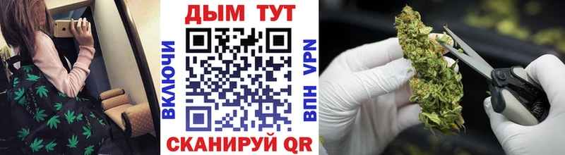Шишки марихуана MAZAR  Холмск 